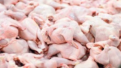 نرخ واقعی هر کیلو مرغ چند؟
