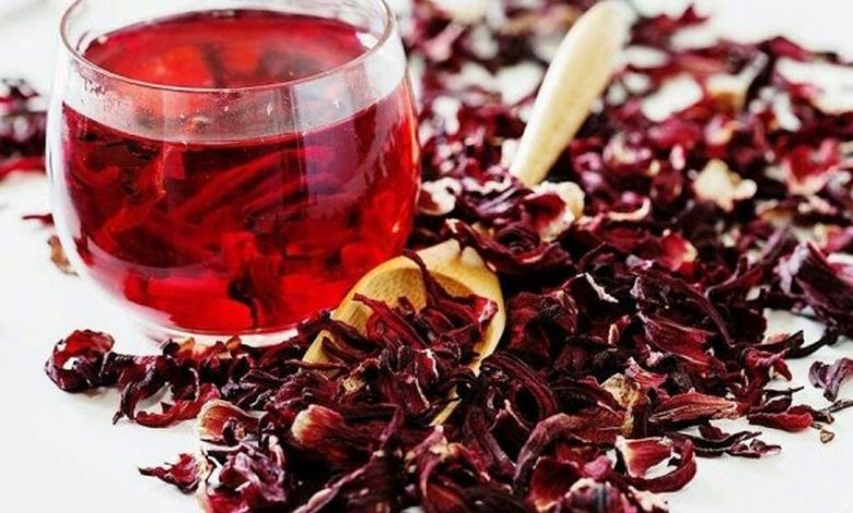 پیش‌بینی برداشت ۳۰۰ کیلوگرم چای ترش از مزارع خوسف