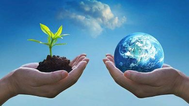 3 راهکار فائو برای داشتن محیط زیست پایدار