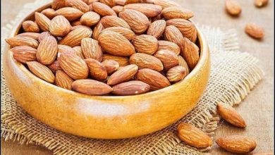 فرآوری بادام اقتصاد چهارمحال و بختیاری را متحول می‌کند