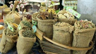 هزار شرکت فناور در زنجیره ارزش صنعت گیاهان دارویی فعال هستند