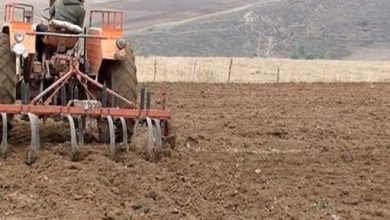 کشاورزان نسبت به کشت گندم دیم اقدام کنند