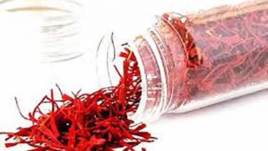 دغدغه فروش زعفران مرغوب در خراسان جنوبی