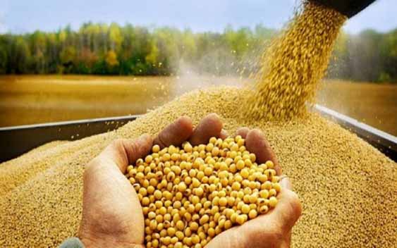 نهاده‌های دامی را در موعد مقرر توزیع کنید