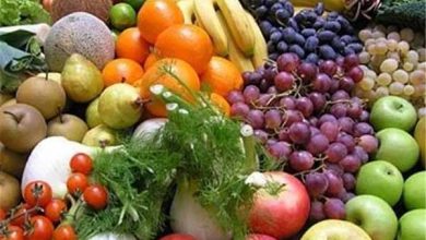 واردات ۲۳ میلیون تن محصولات کشاورزی به کشور از ابتدای سال