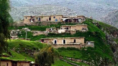 نقشه گنج ایران در روستاها نهفته است/ نبود آموزش تخصصی مانع توسعه روستا