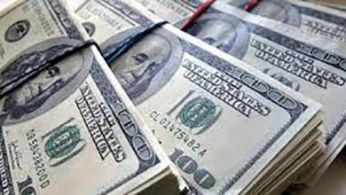 وابستگی ایران به ۱۶ میلیون تن نهاده دام و دلارهایی که حراج می‌شود/ مدیر وزارت جهاد: امکان تولید ۵ میلیون تن در ۱ سال را داریم