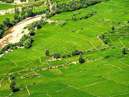 برترین‌های بخش کشاورزی مازندران تجلیل شدند