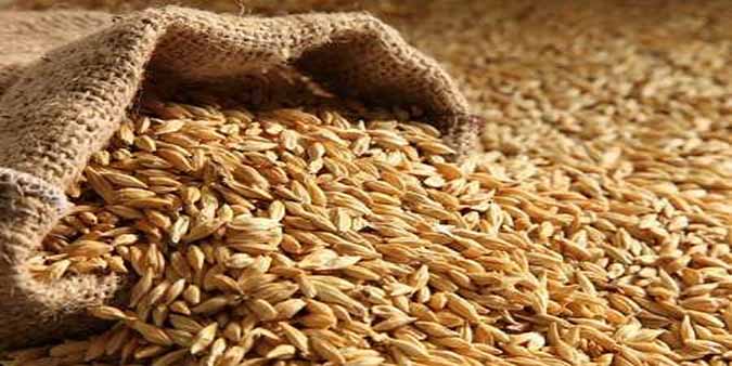 تاخیر در اصلاح سامانه بازارگاه؛ تقویت شائبه فساد در توزیع نهاده‌
