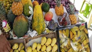 سالانه ۵۰۰ میلیون دلار برای تامین میوه‌های گرمسیری از کشور خارج می‌شود