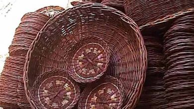 معجزه‌ی دستان هنرمند یک زن