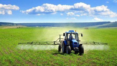 نقش شهرک‌های کشاورزی در توسعه کشاورزی صنعتی