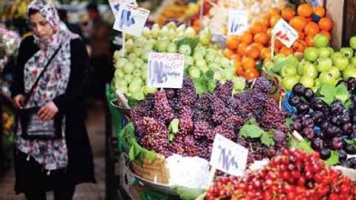 گرانی میوه به دلیل عدم تعادل در تولید محصولات و بازار است