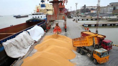 ادامه چالش تامین نهاده های دامی؛ اینبار کُندی حمل و نقل