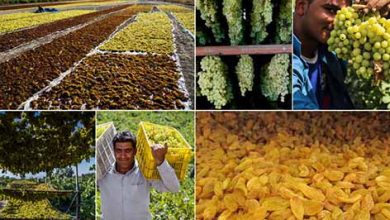 ظرفیت‌های مغفول خراسان شمالی وظیفه دولت بعدی برای رفع محرومیت ها