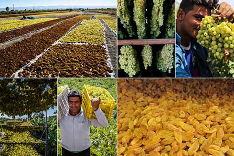 ظرفیت‌های مغفول خراسان شمالی وظیفه دولت بعدی برای رفع محرومیت ها