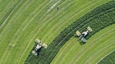تجربه سرمایه گذاری در بخش‌ کشاورزی از چین تا آمریکا