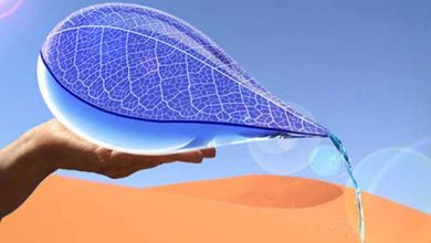استحصال آب از مه راهکاری برای جبران کم آبی