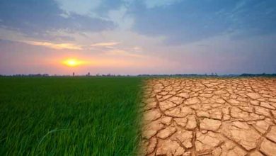 تاثیر تغییرات آب و هوایی بر بحران شدید اقتصادی کشورها