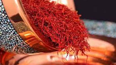 تقلب ممنوع؛ زعفران با هوش مصنوعی اصالت سنجی می‌شود