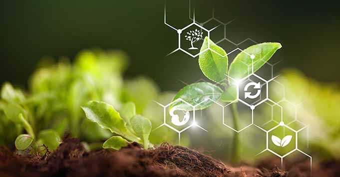 توصيه های هواشناسی کشاورزی از تاريخ 6 تیر لغايت 9 تیر 1400