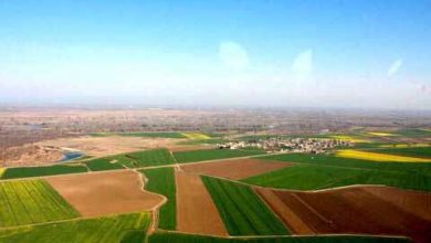 قانونی که اراضی کشاورزی را نابود می‌کند!