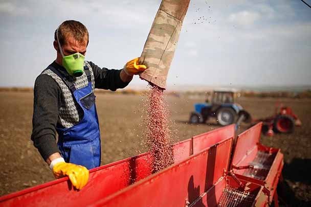 روسیه با افزایش تولیدات کشاورزی گرانی را مهار کرد