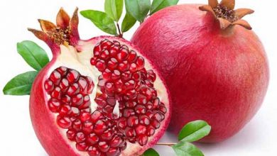 شهرضا؛ سرزمین پُر ظرفیت کشاورزی و اناری که کیفیت آن رقیب ندارد