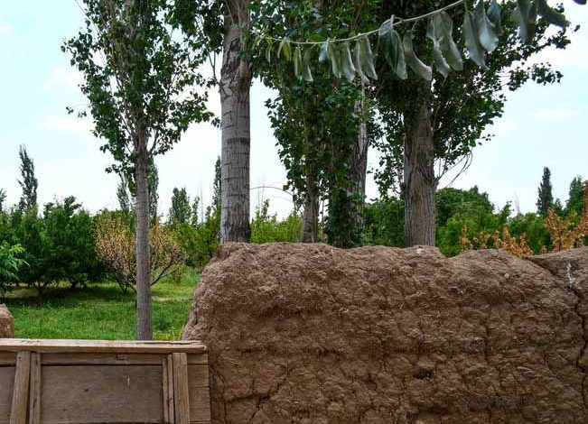 کوچه باغ‌های روستای «خیج» و «کلاته خیج»