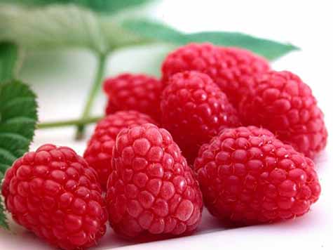 توسعه تولید رزبری‌ها و بلوبری در گیلان