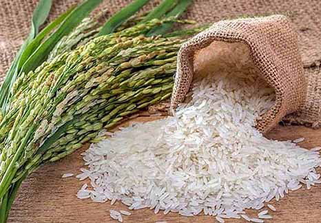 داستان بورس‌نشینی برنج
