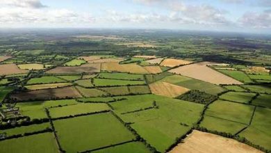 رصد تغییر کاربری اراضی و جنگل زدایی با فناوری های هوش مصنوعی