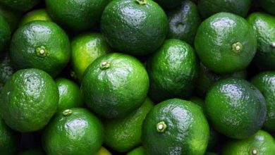 نارنگی‌های موجود در بازار رنگ‌آوری شده و مضر است