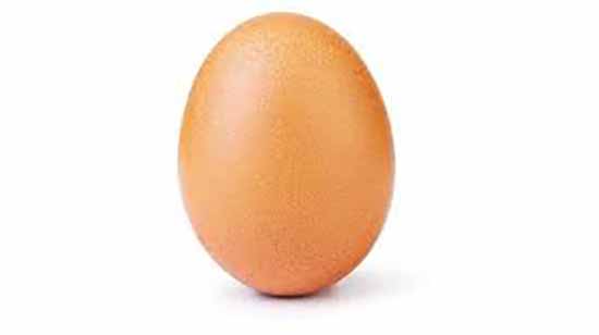 گرانی تخم مرغ به دلیل سیاست‌های غلط گذشته