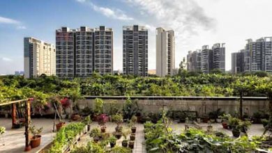 کشاورزی شهری، پاسخی برای امنیت غذایی