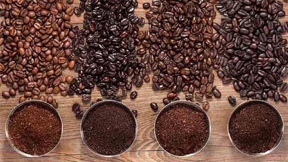 آشنایی با گونه‌های مختلف قهوه
