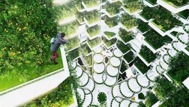 توسعه پایدار شهرها با کشاورزی شهری