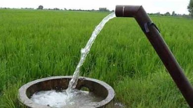 برق رایگان برای کشاورزان با خاموشی چاه‌ها در ساعات اوج مصرف
