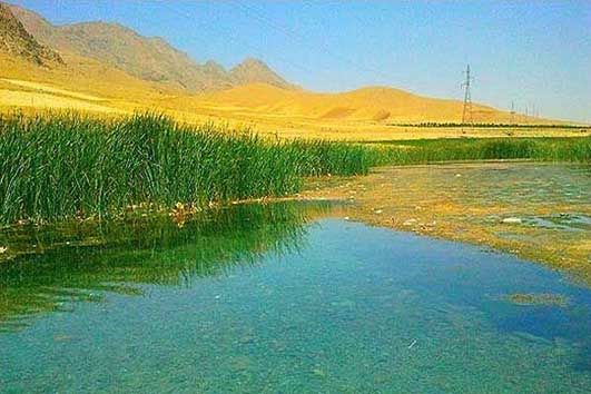 «بیشه دالان»، تالابی گرفتار بی‌تدبیری