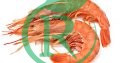 ماهی بندر – فروش آنلاین ماهی ، میگو و آبزیان صادرات