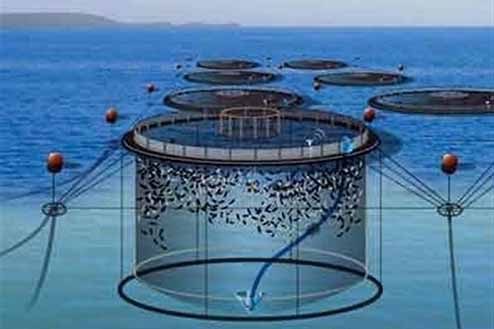تجهیزات پرورش ماهی و میگو شرکت فارود صنعت