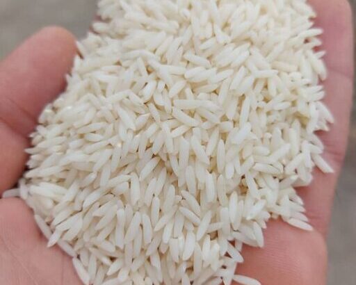 برنج طارم هاشمی ممتاز ساری(بسته ۱۰ کیلوگرمی)