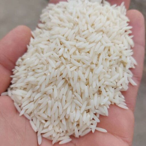 برنج طارم هاشمی ممتاز ساری(بسته ۱۰ کیلوگرمی)